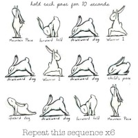 Bunny Yoga and Breathing 